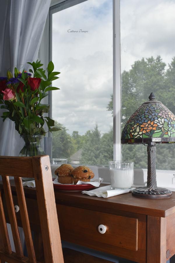 Winridge Manor Bed And Breakfast Madison Heights Exteriör bild